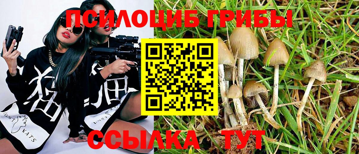 Галлюциногенные грибы MAGIC MUSHROOMS Киселёвск